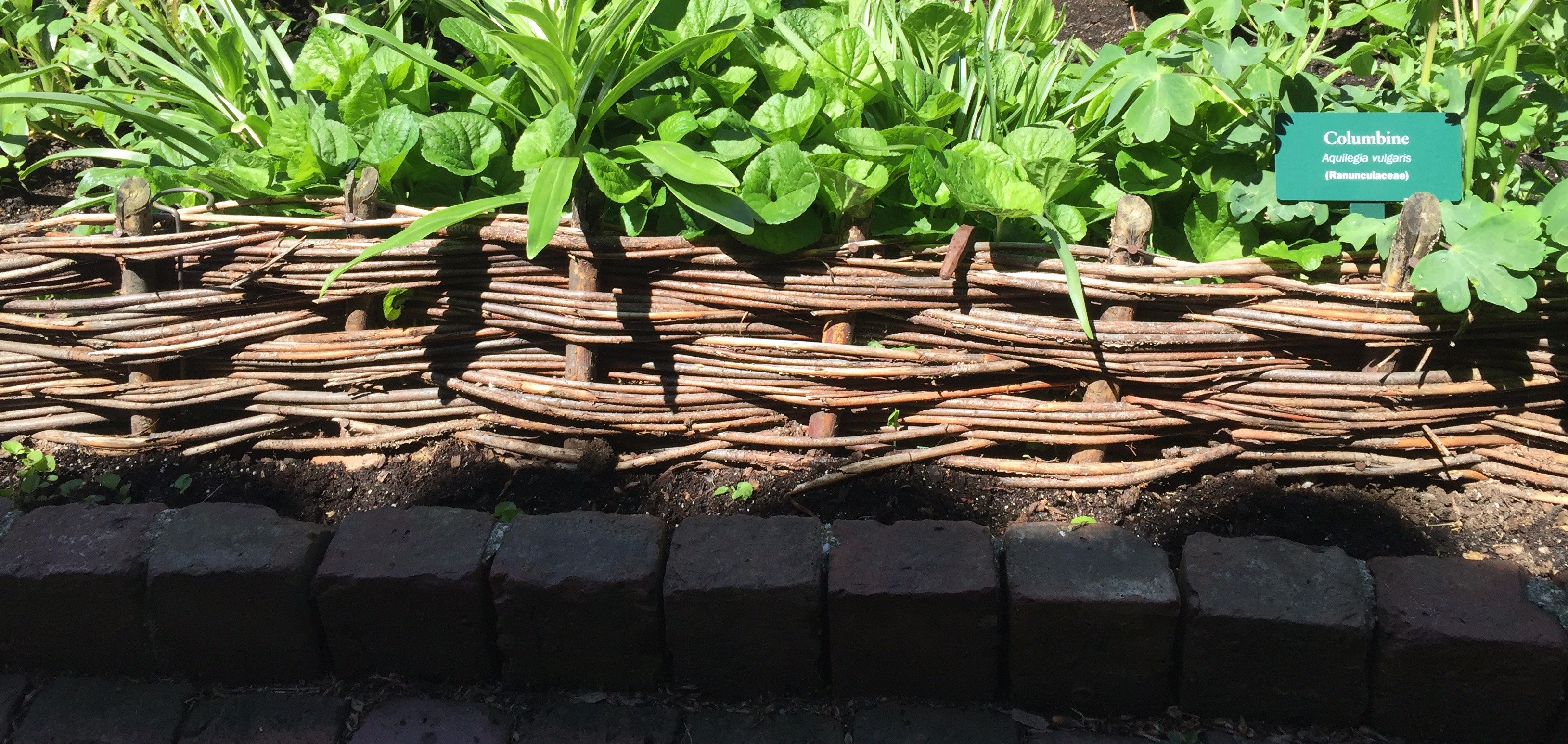 Willow woven into a rectangular border panel.
