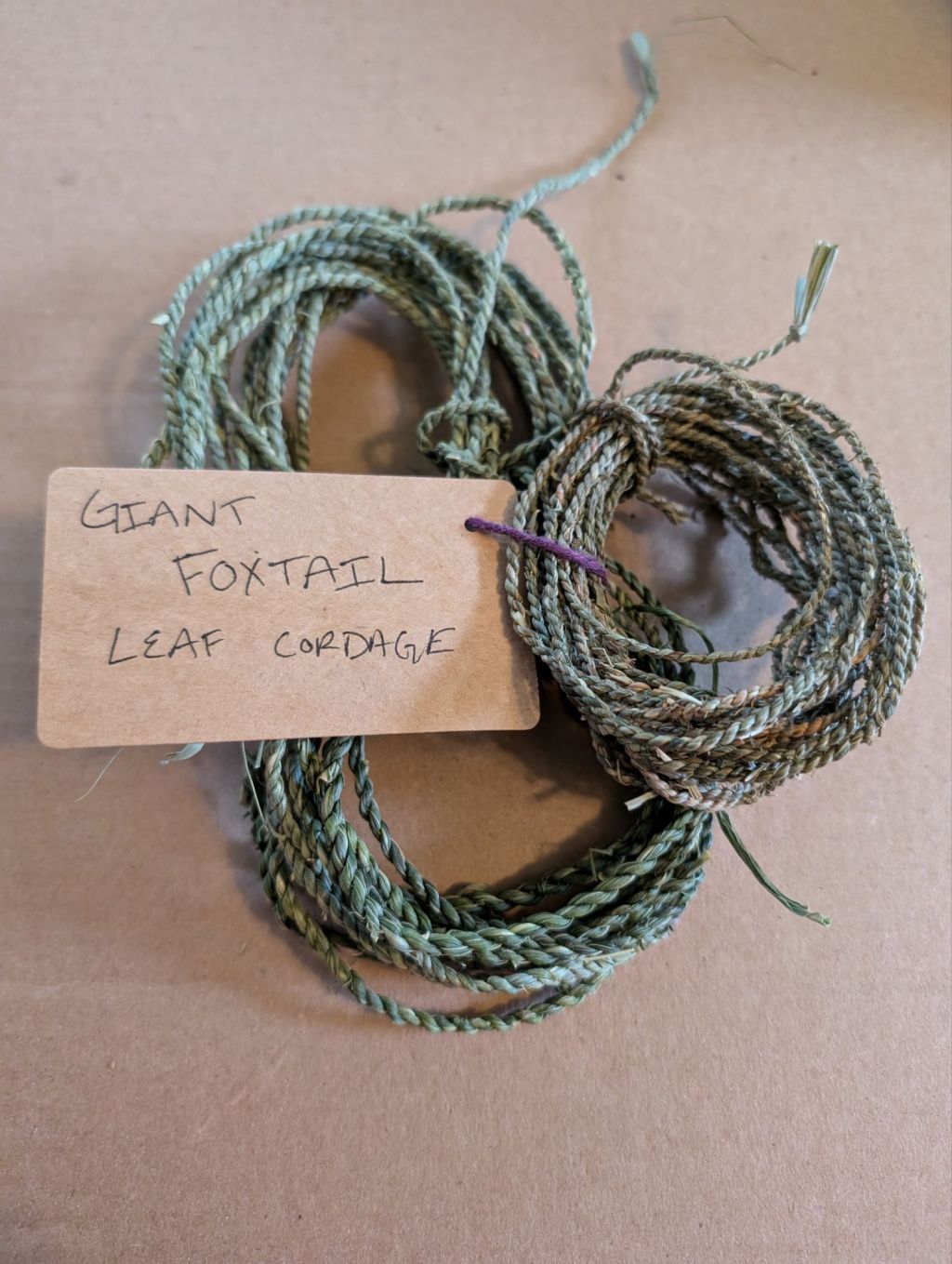 Invasive Plants for&nbsp;Cordage