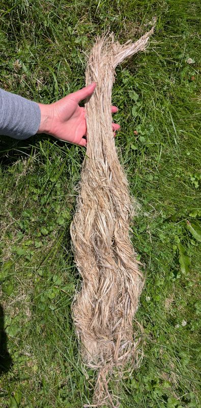 The mega-hank part of the way through rolling.