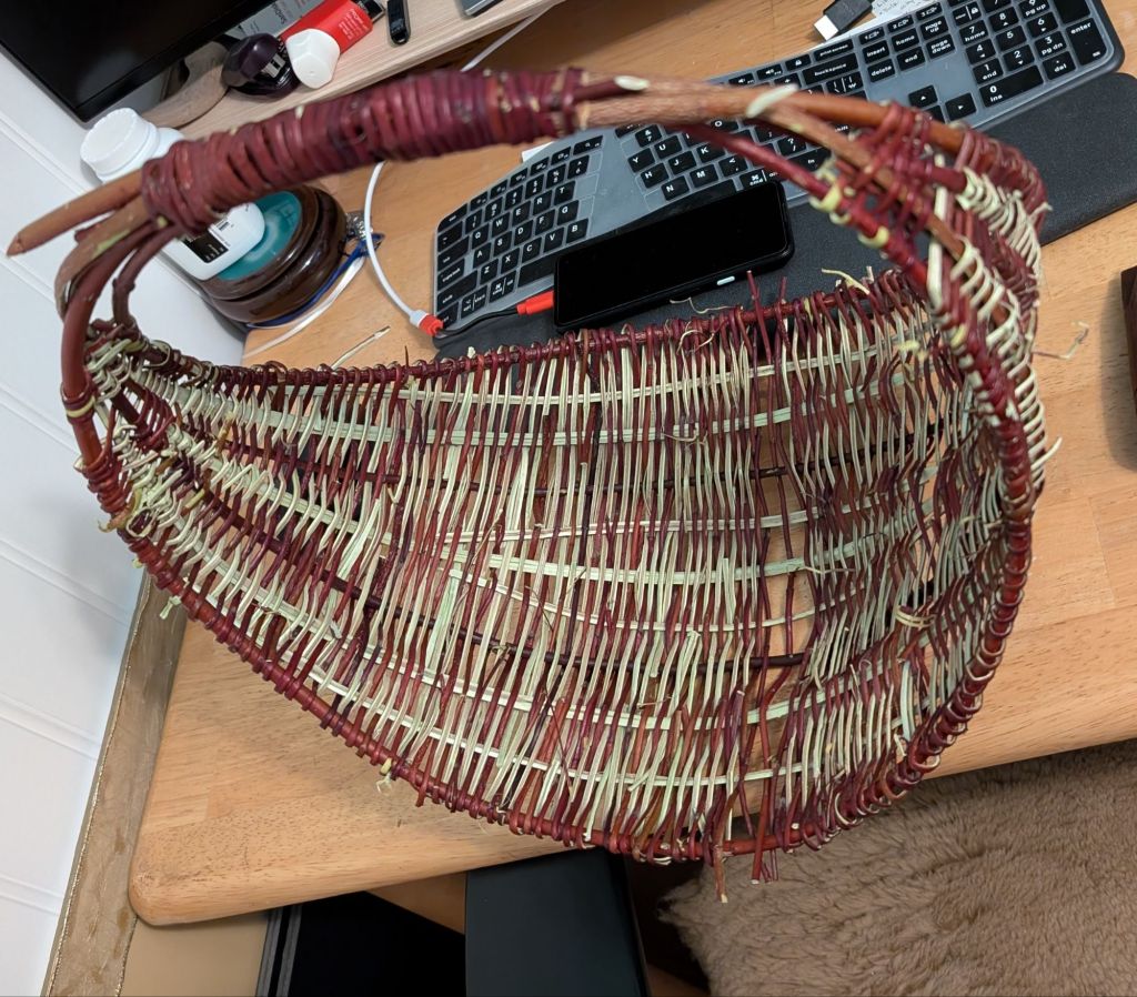 Experimenting with Red Twig&nbsp;Dogwood