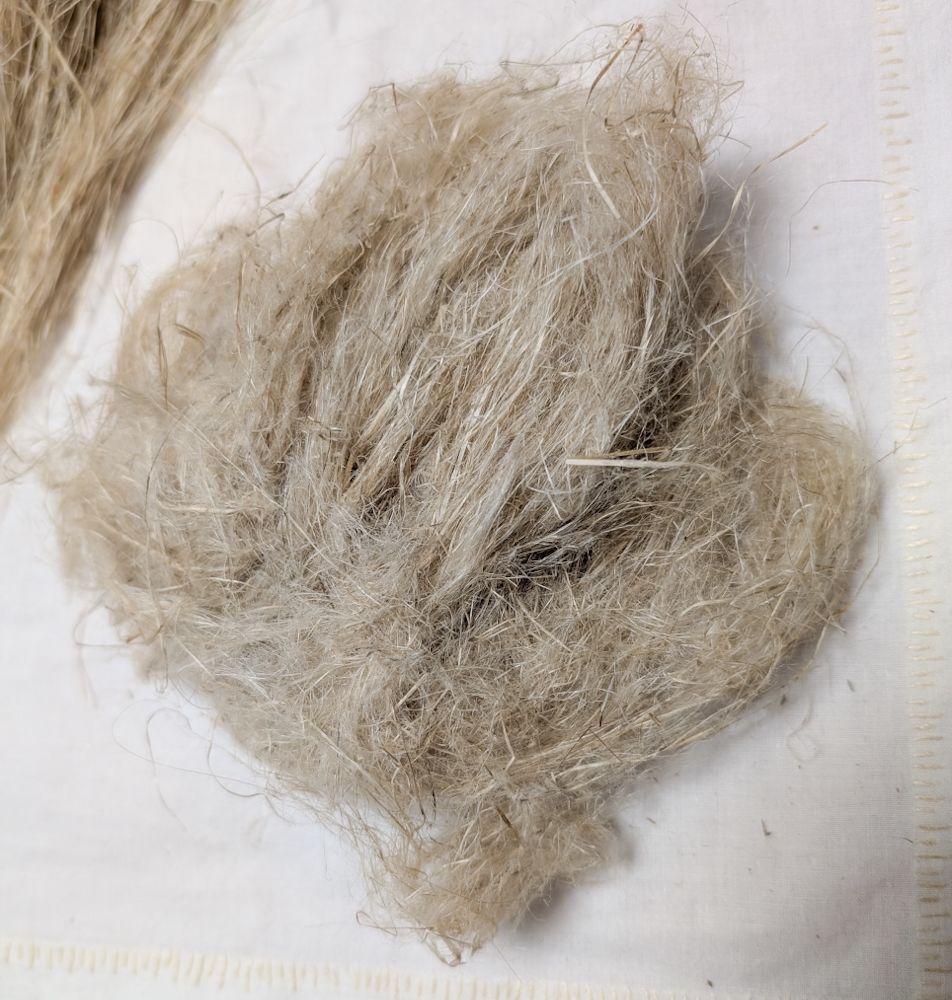 A ball of the short, fluffy mess left over after pulling the medium length fibers out using the wool combs.