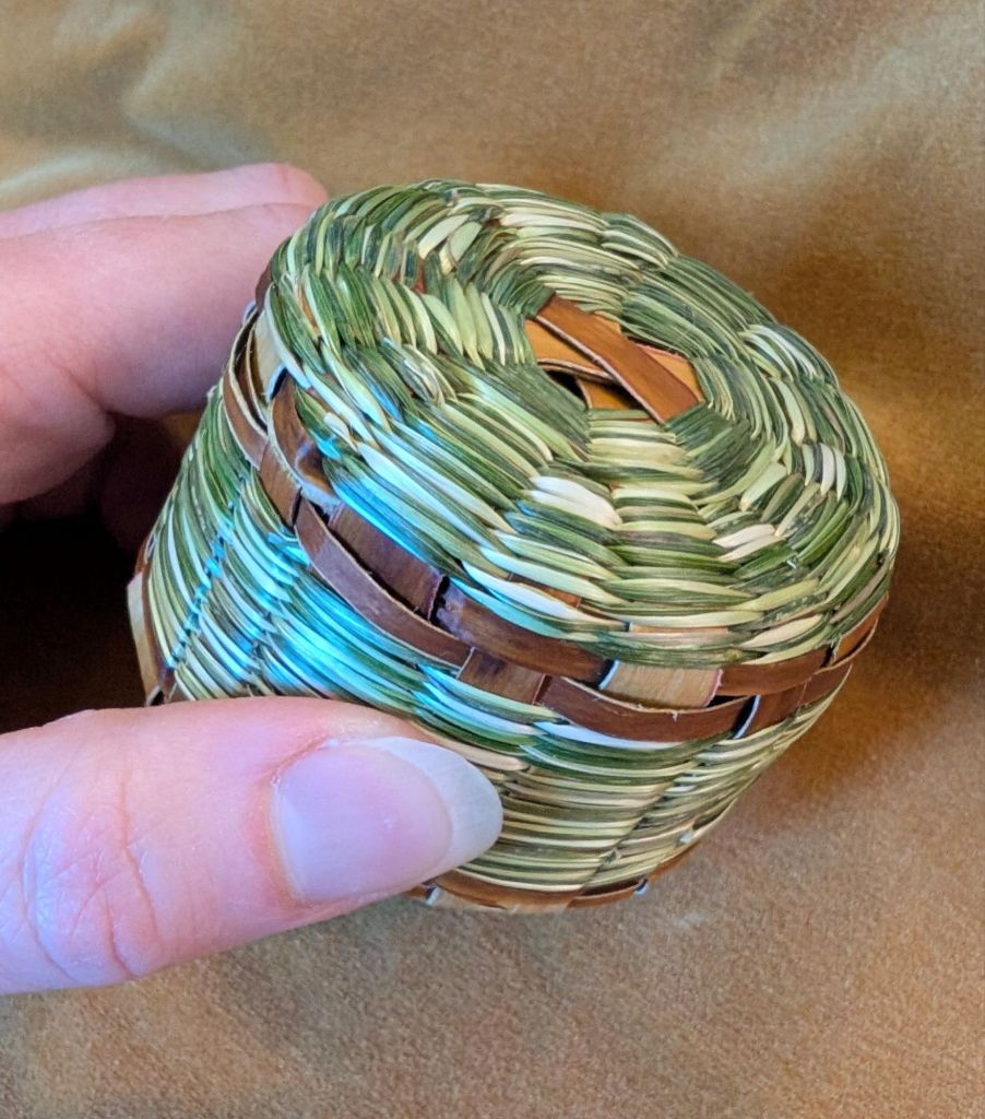 Photo of the outside bottom and side of the basket, showing where the bark spokes were turned upward and secured in place by weaving two narrow bands of bark before continuing with the twining.